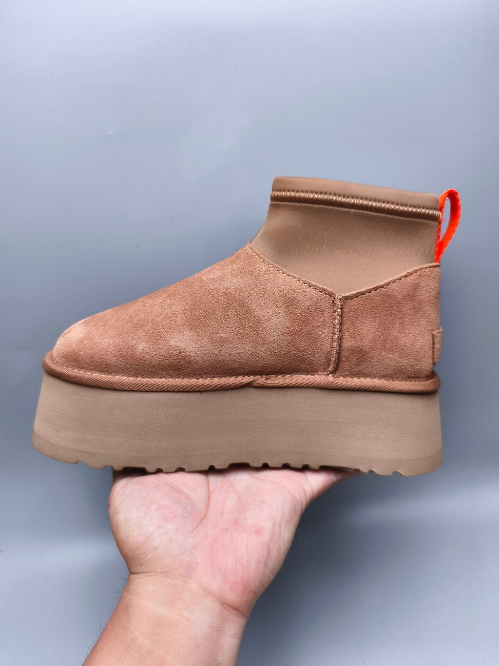 Chestnut Platform Elastic Low-Top Casual Shoes — New Arrival | In Stock